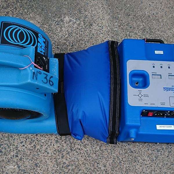 dm12